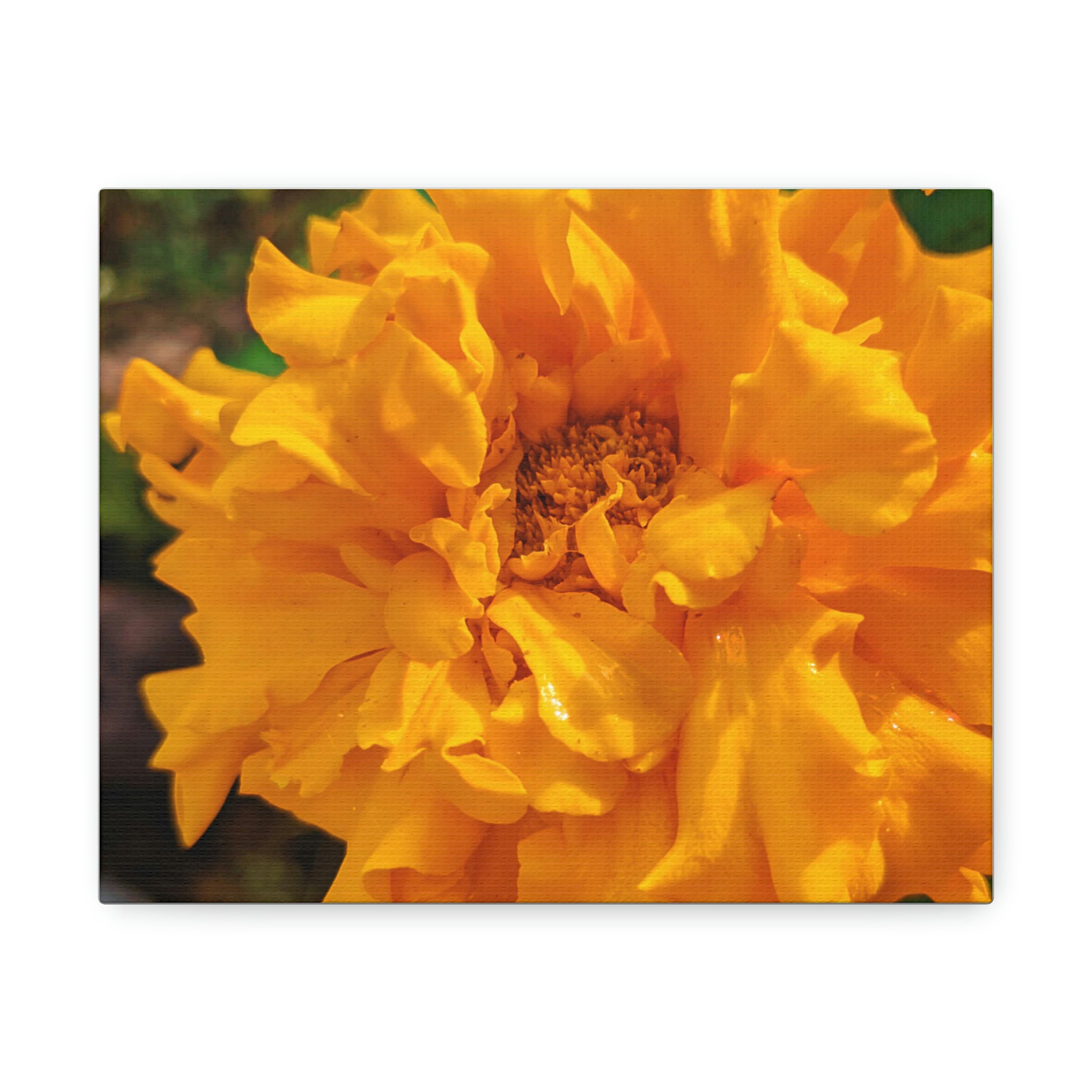 Latitude Run® " Orange Flower " | Wayfair